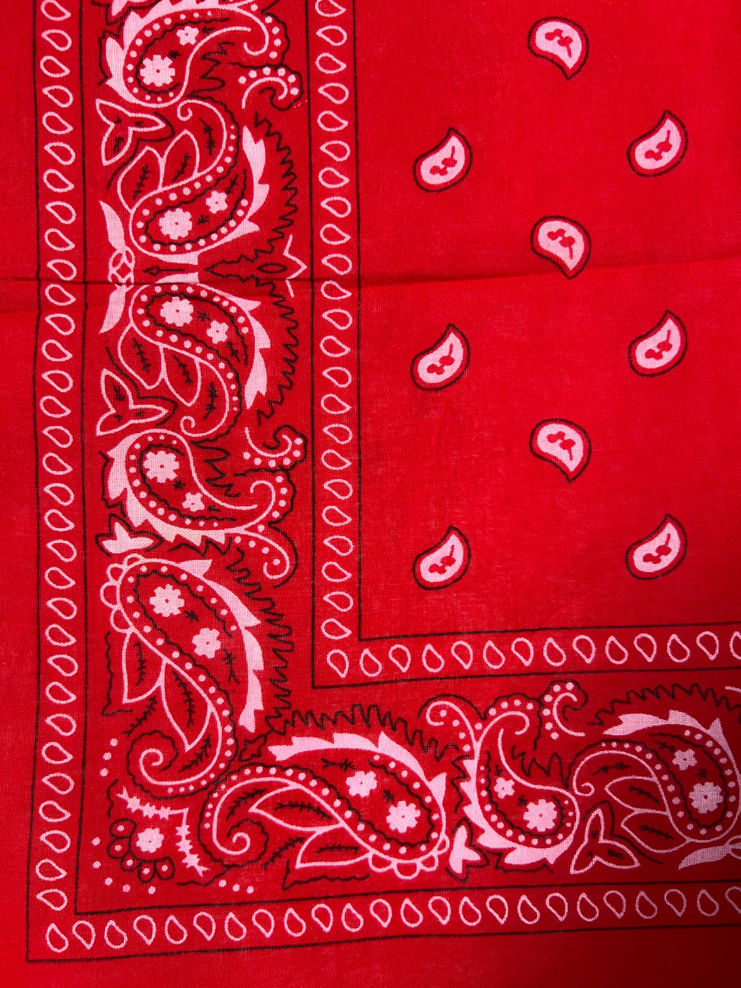 Red, White & Black Paisley Print Bandana