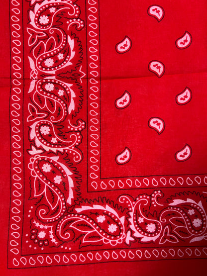 Red, White & Black Paisley Print Bandana