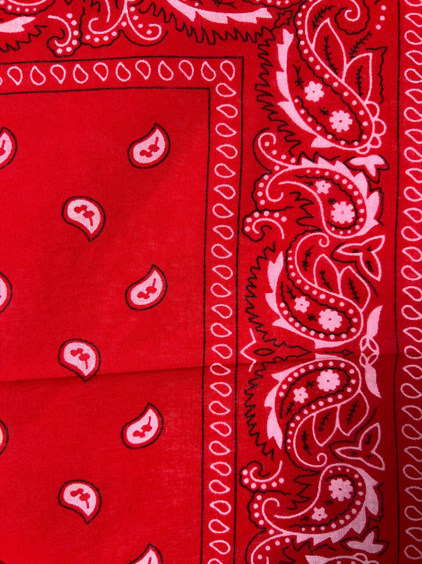 Red, White & Black Paisley Print Bandana