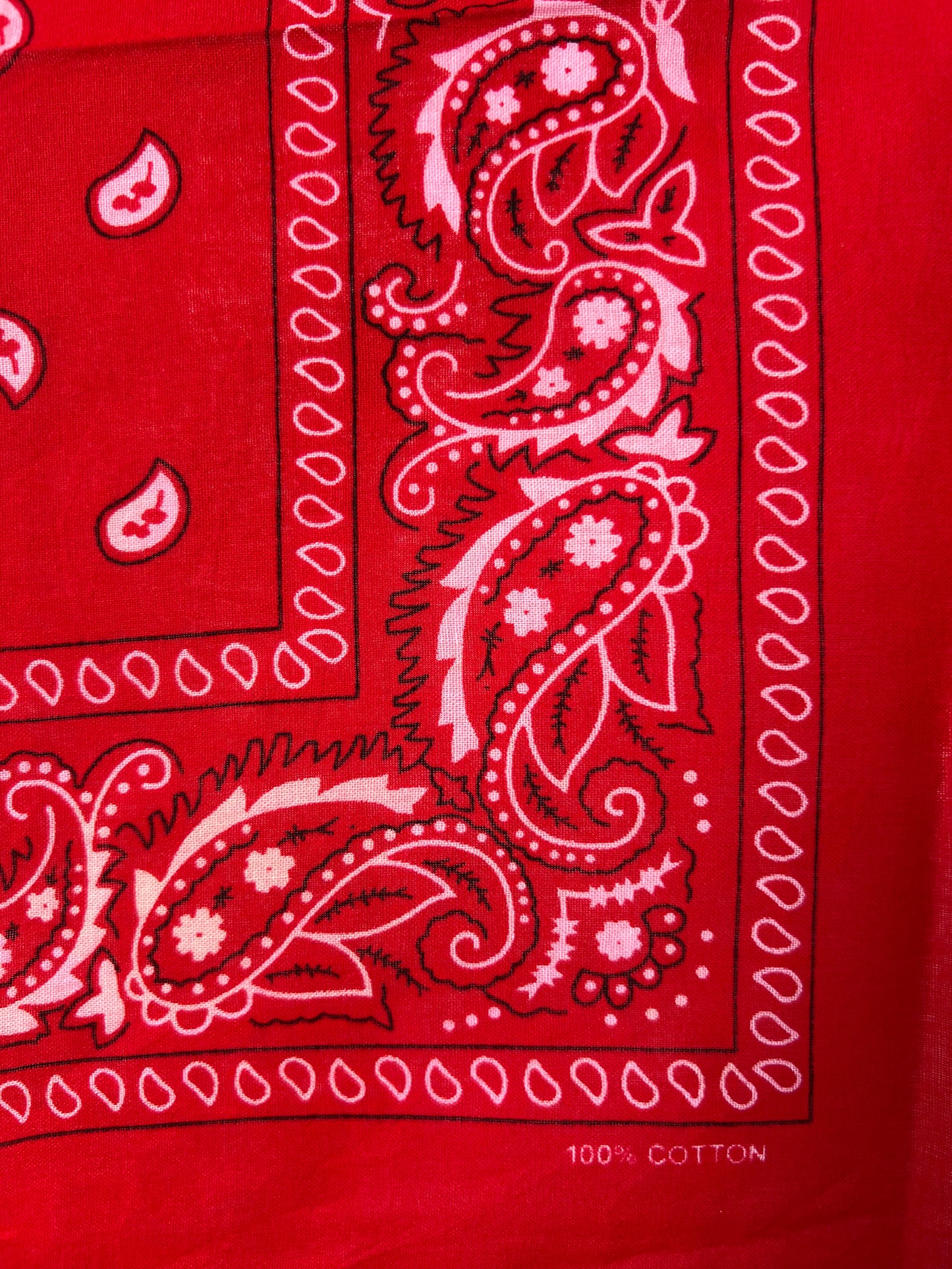 Red, White & Black Paisley Print Bandana
