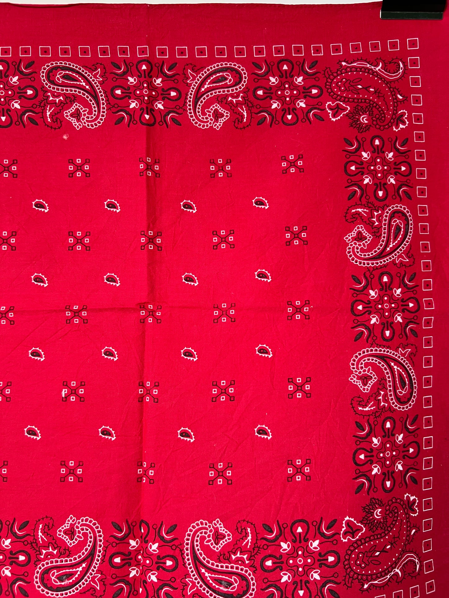Red Paisley Cross Hatch Print Bandana