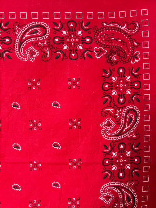 Red Paisley Cross Hatch Print Bandana