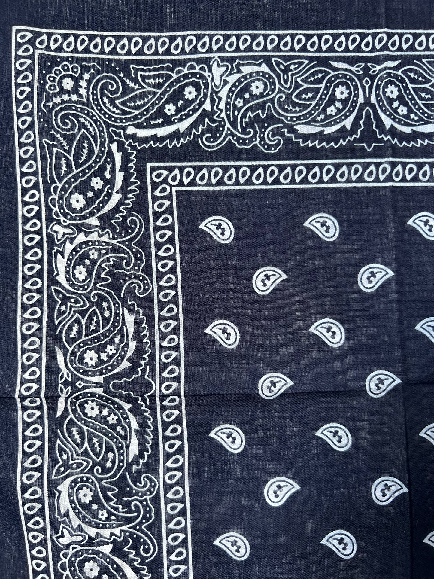 Dark Blue Soft Edge Paisley Border Print Bandana
