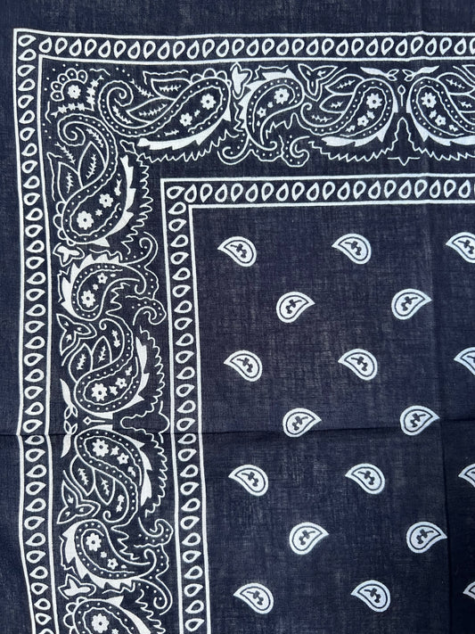 Dark Blue Soft Edge Paisley Border Print Bandana