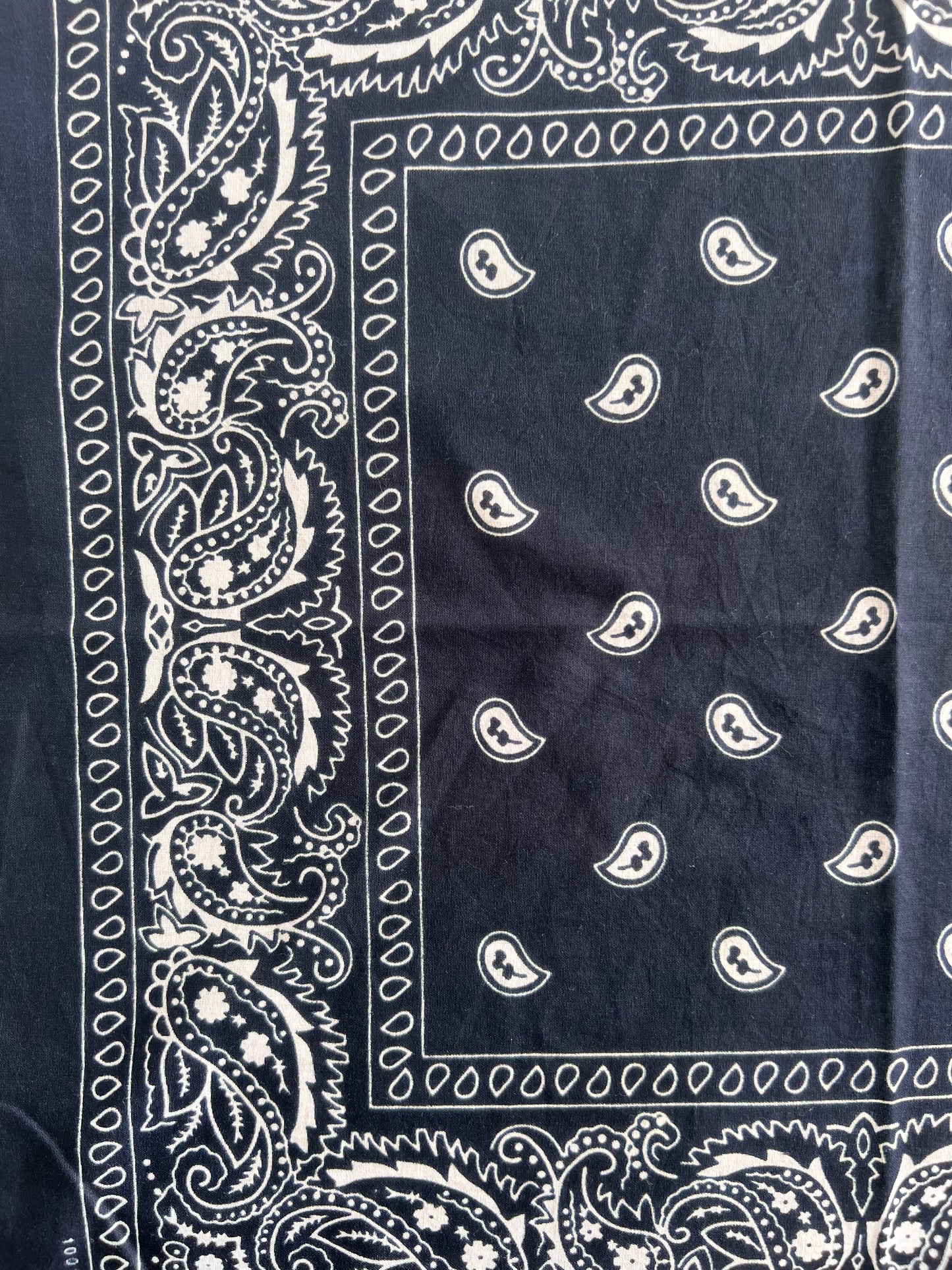 Paisley Print Dark Blue Bandana
