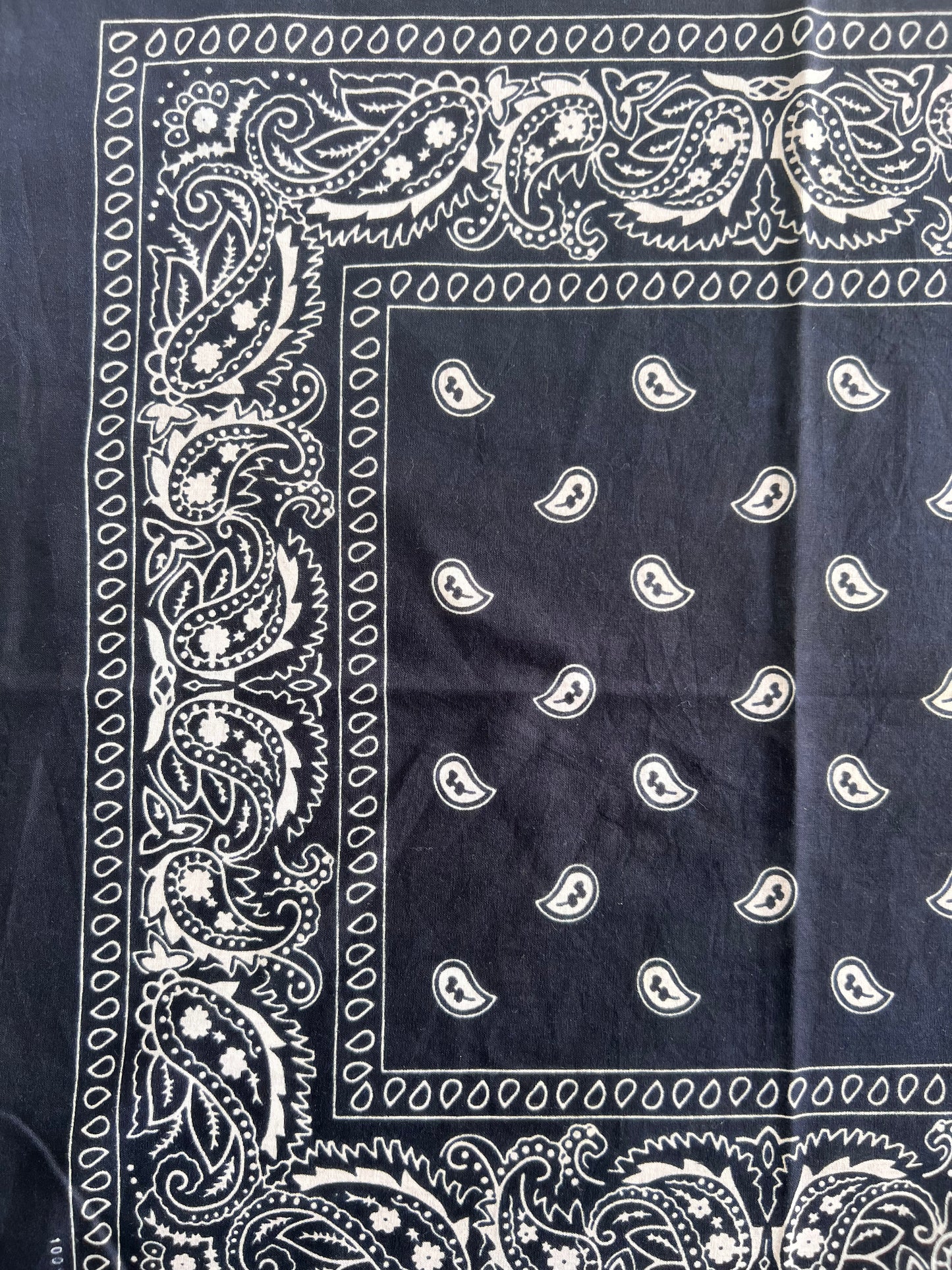 Paisley Print Dark Blue Bandana