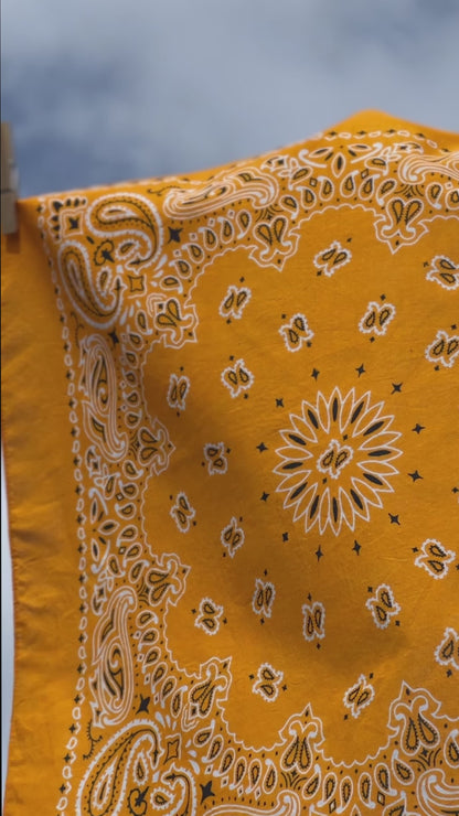 Mango Orange Paisley Print Bandana