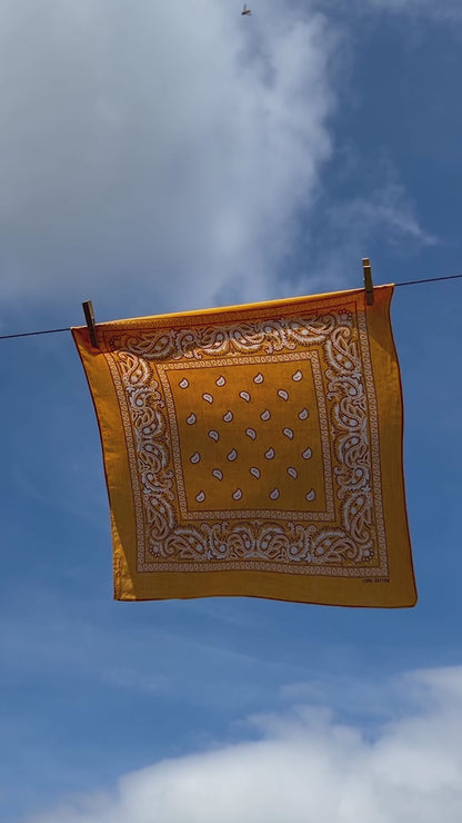 Mango Orange Paisley Print Border Bandana