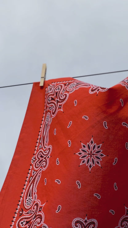 Deep Orange Paisley Border Print Bandana
