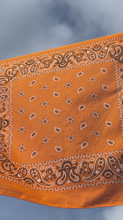 Orange Paisley & Floral Print Bandana